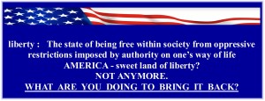 Liberty is clearly under attack in America. Do not sit down, do not shut up. Scream the truth from every mountainside. Fight for liberty or loose it forever.